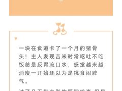 -瑞派申生动物医院·24H夜诊·国际动物医疗中心·骨外科(吴中路店)