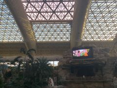 -杭州开元森泊度假乐园