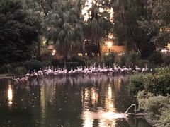 景点-九龙公园