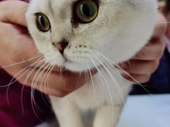 -宠颐生汉谟拉比宠物医院