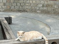 -四门塔风景区