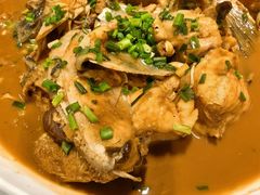 -全乐鱼馆·淳牌有机鱼直营店