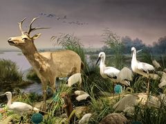 -湖南省地质博物馆