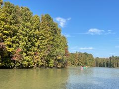 -上海海湾国家森林公园