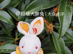 -济南南郊宾馆
