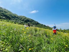 -白草畔自然风景区