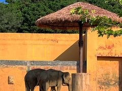 -沈阳森林动物园