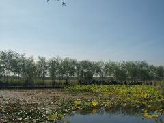 -绿堤公园