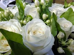 -渝大狮毛肚老火锅(巴中店)