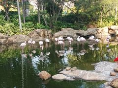 -长隆横琴湾酒店(珠海旗舰店)
