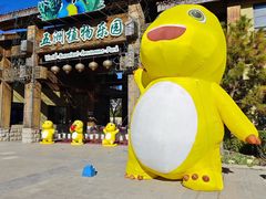 -南宫五洲植物乐园