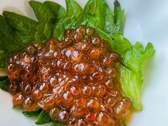 三文鱼籽-王鼎精致料理铁板烧(世博源店)