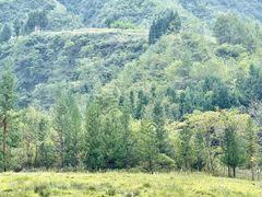 -鹿院坪生态旅游景区