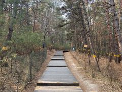 -帽儿山国家森林公园