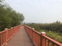 -芒洲湿地公园