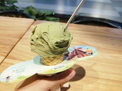 -野人先生现做冰淇淋(西安赛格店)