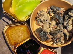 -Darling Queen·Mini·Live·House