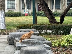 -南通博物苑-崇川人民公园