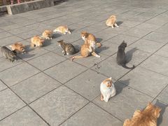 -四门塔风景区
