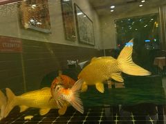 -秦记香辣蟹(松榆里店)