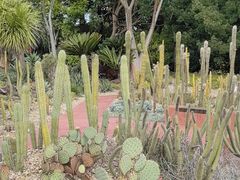 -墨尔本皇家植物园