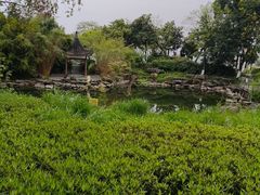 -大渡口区义渡公园