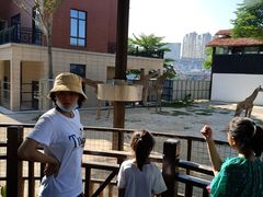 -灵玲国际马戏城