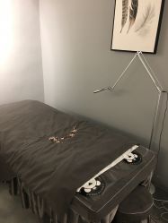 -三只熊皮肤管理中心