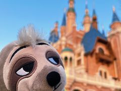 -上海迪士尼度假区