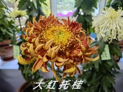 -陶然亭公园