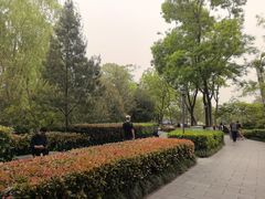 -莲湖公园