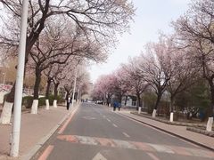 -吉林大学(南岭校区)