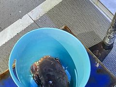 -蟹老板的海鲜