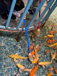 -酷嗒动物文化乐园(cutezoo西溪乐天城店)