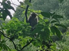 -黔灵山公园-南门售票处