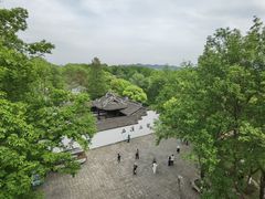 -西溪国家湿地公园