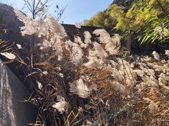 -碓臼峪自然风景区