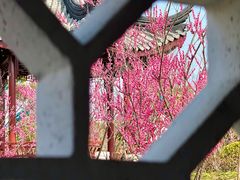 -东南大学(九龙湖校区)
