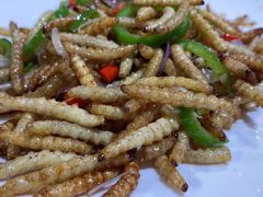 竹虫-红炎炎农家菜老字号(金水台店)