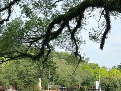 -潮镇老尾牛杂(环城西路店)