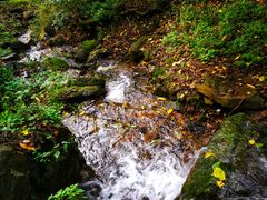 -天女山森林公园