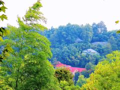-莫干山风景区