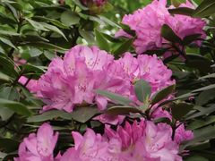 -名花谷生态庄园