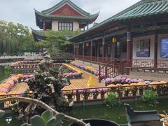 -MAP CHA普洱茶馆(翠湖店)