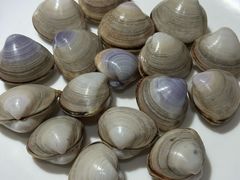 -圣罗巴海鲜烤肉自助(佳兆业店)