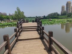 -前关湿地公园
