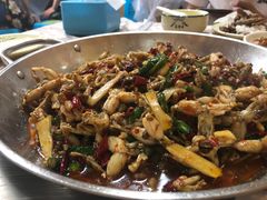 子姜蛙-呱呱兔庄