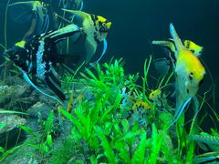 -成都浩海立方海洋公园