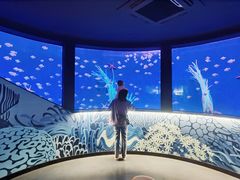 -沈阳海洋探索中心