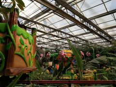 -南宫五洲植物乐园